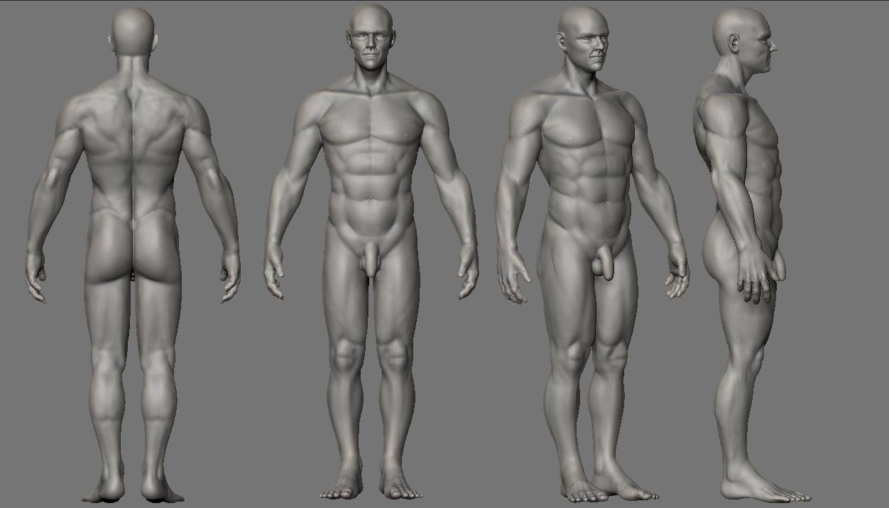 WIP2.jpg