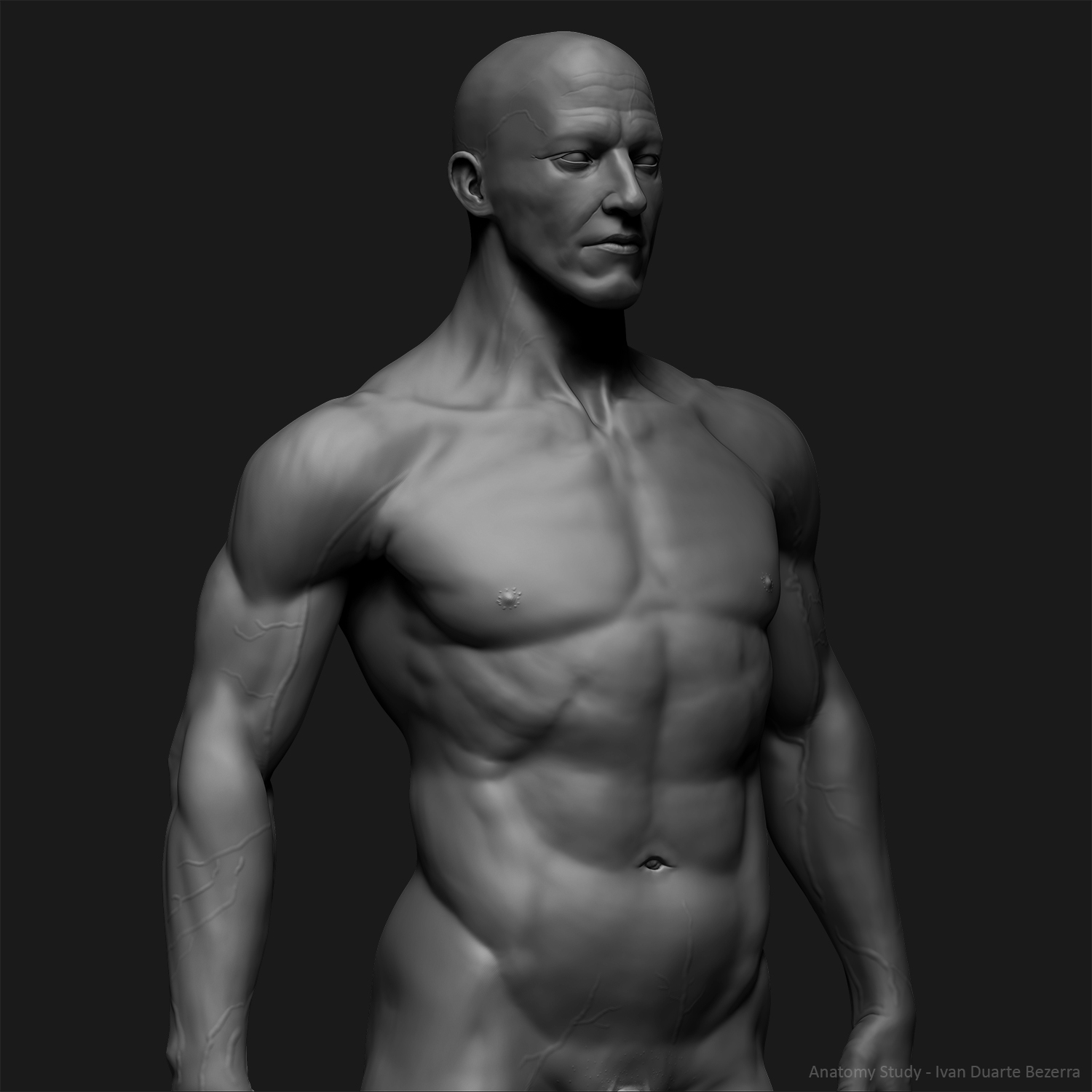 1 Full Body Anatomy Study Tumb.jpg