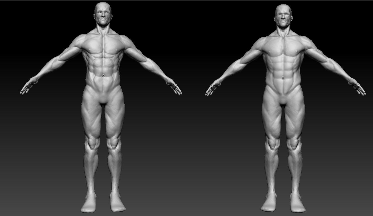 torso.jpg