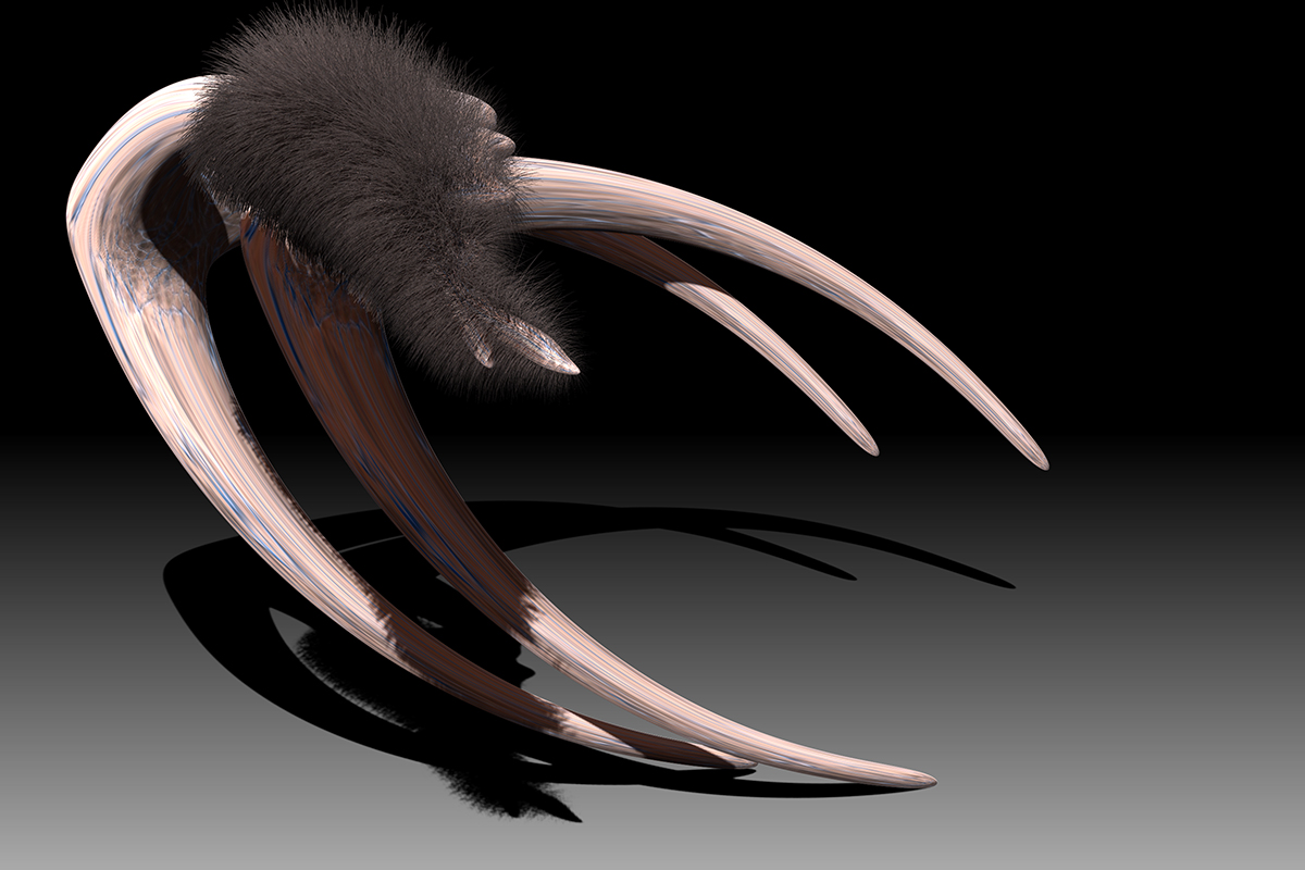HairyBonesCrop.jpg