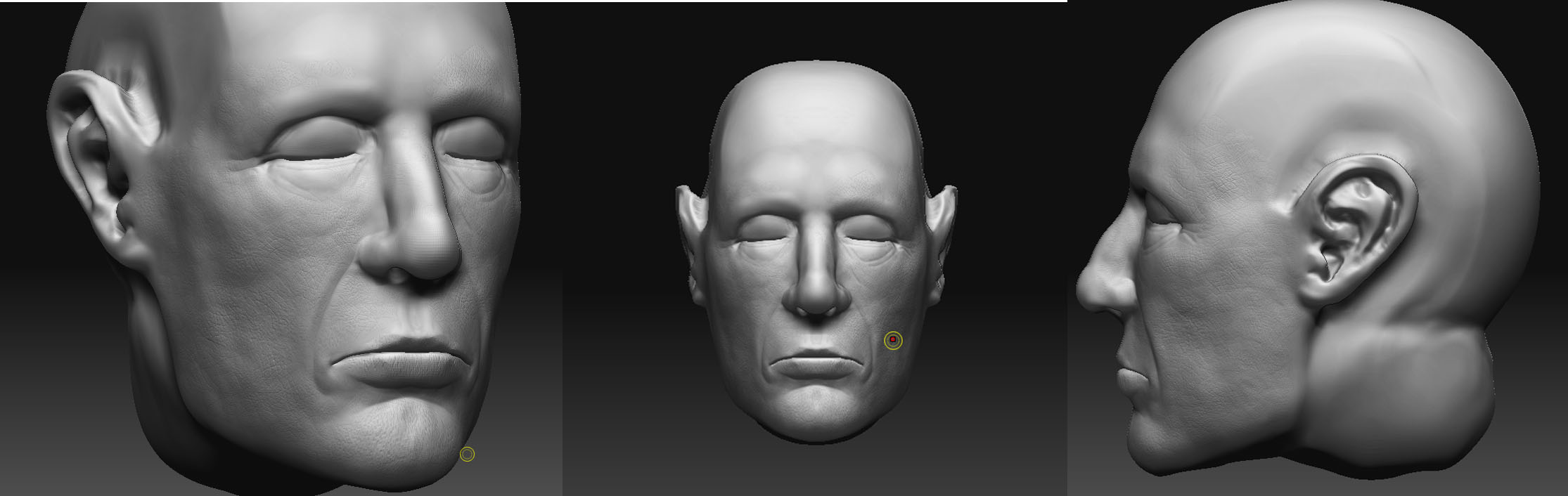 face Study2.jpg