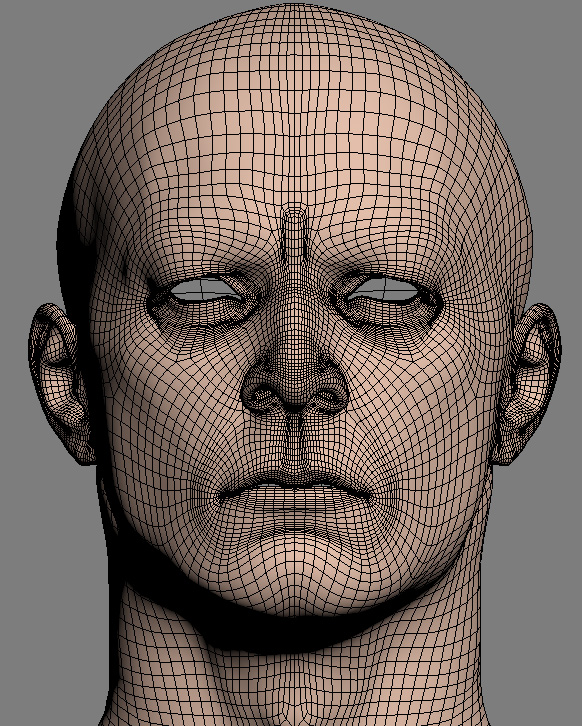 wire_1.jpg