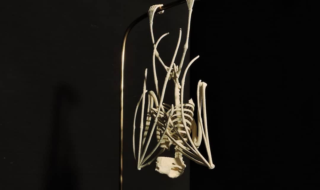 Bat-Skeleton-Printed%203