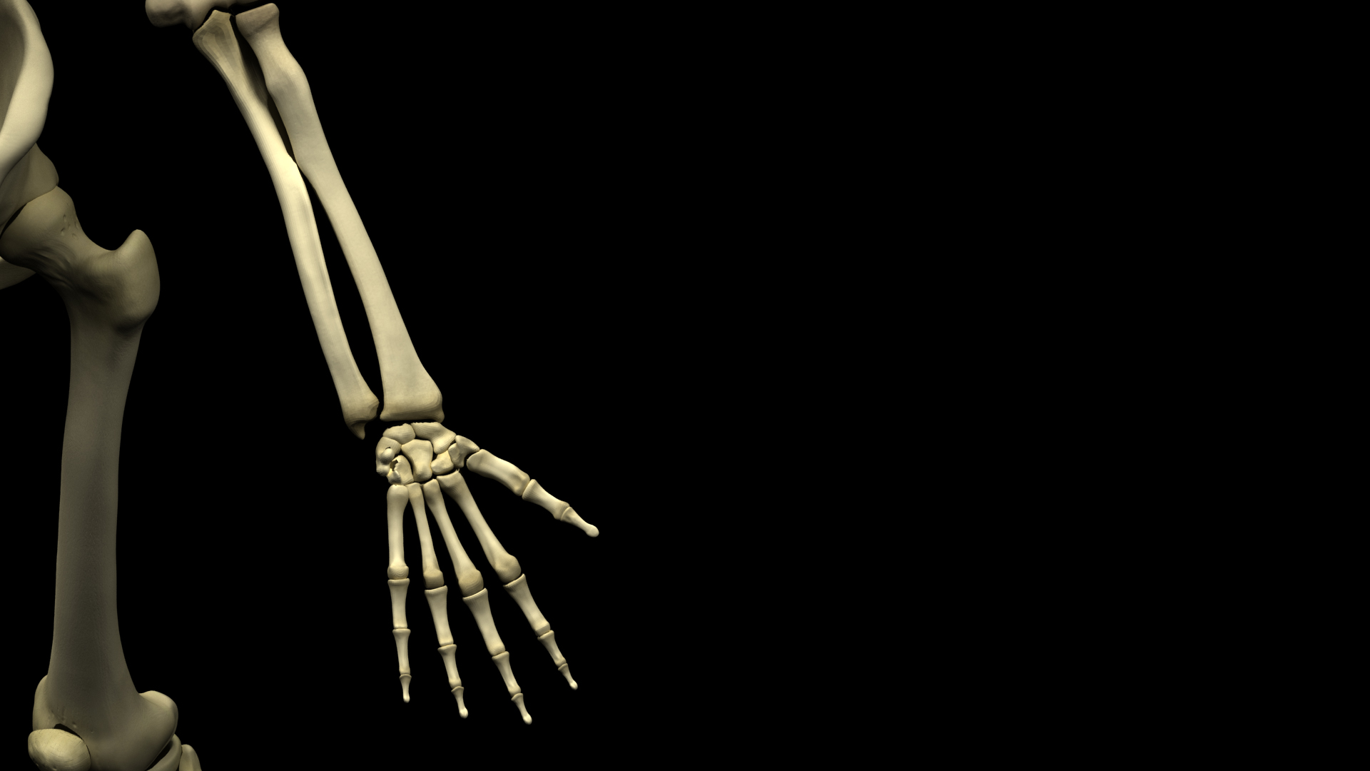 Arm_CloseUp.jpg