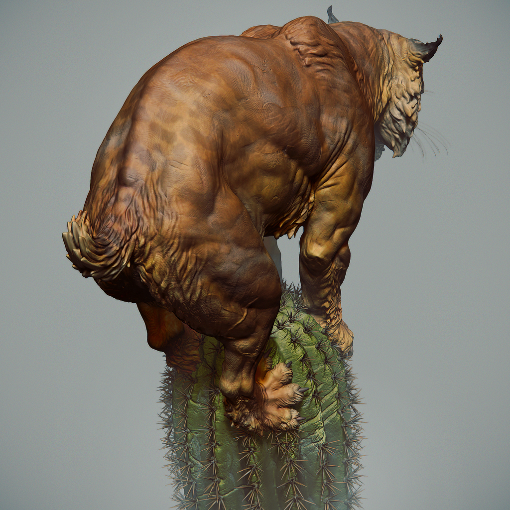 Lince_03
