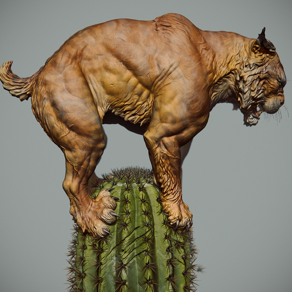 Lince_04