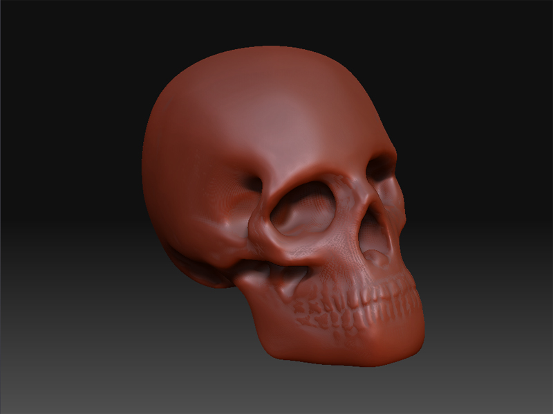 skull.jpg