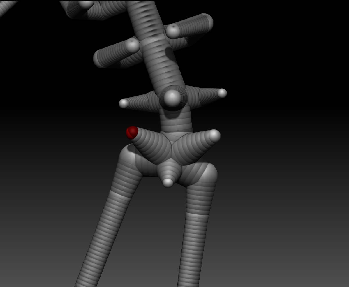 pelvis_rig.jpg