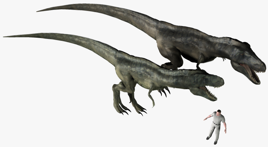 z Tarbosaurus bataar and Tyrannosaurus rex08.jpg