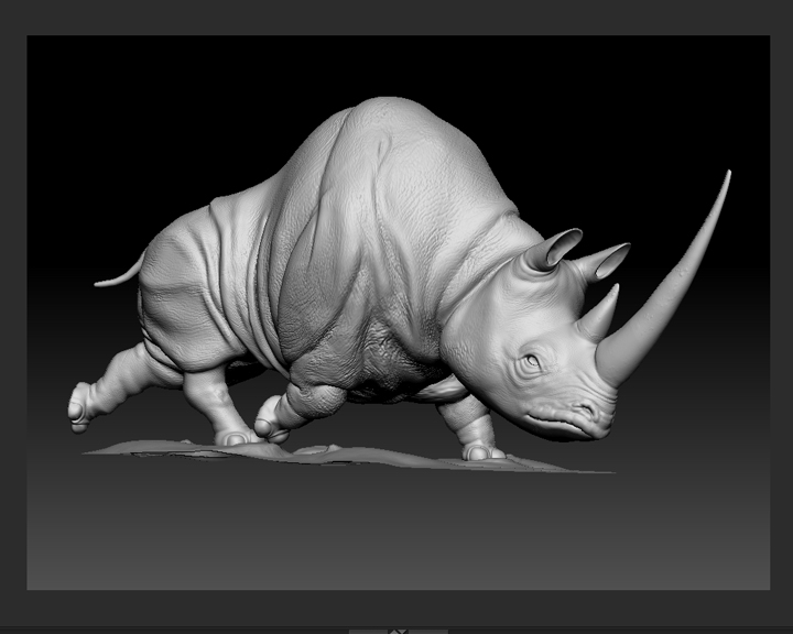 rhino.jpg