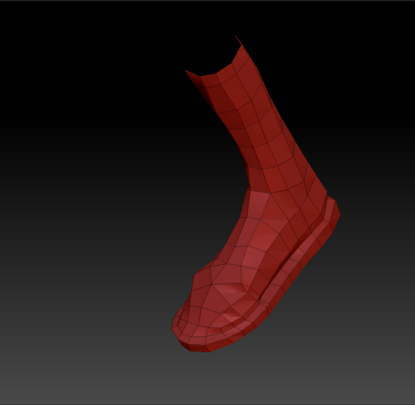 schuh2.jpg