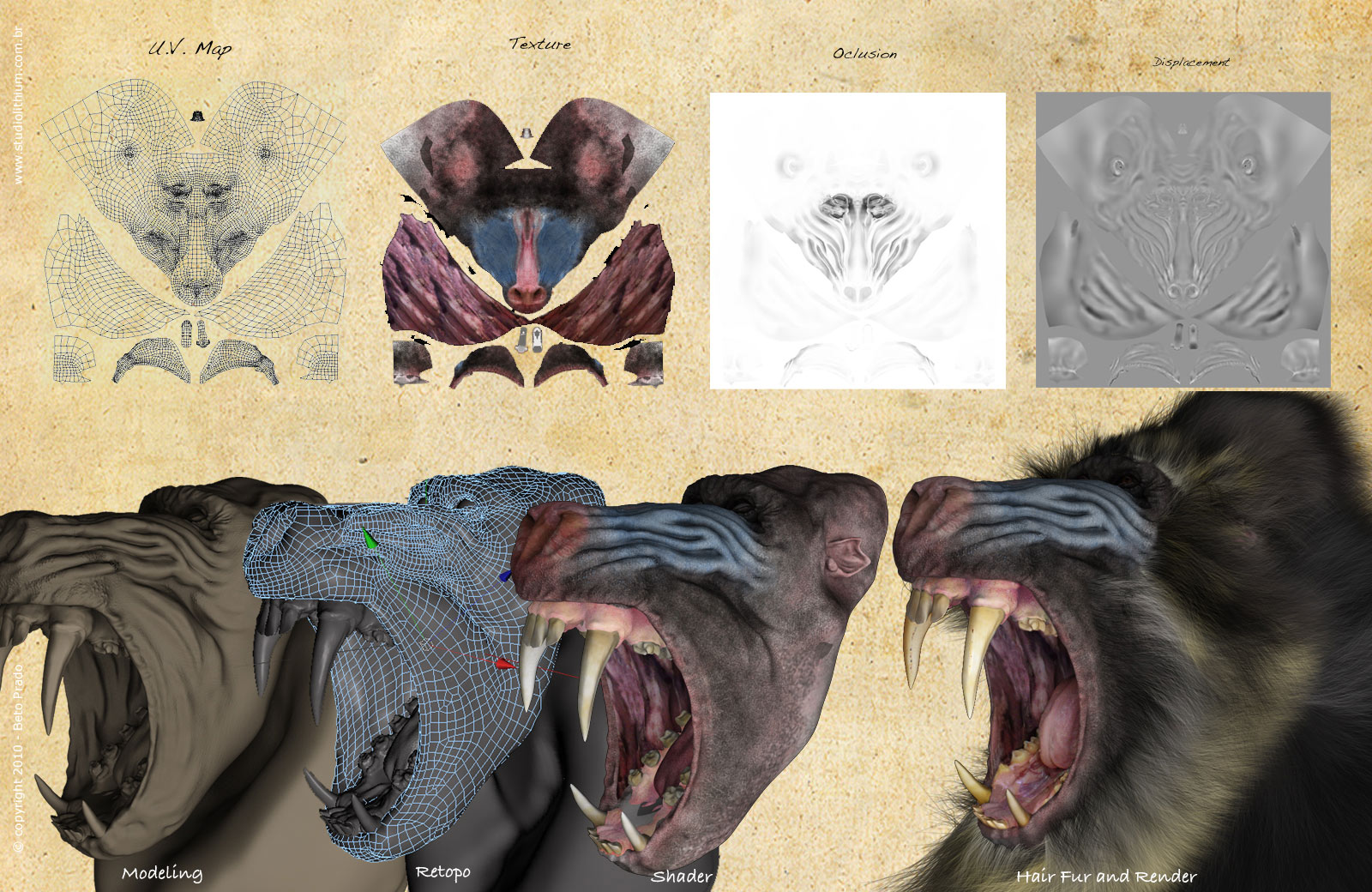 Mandril_Final_sheet.jpg