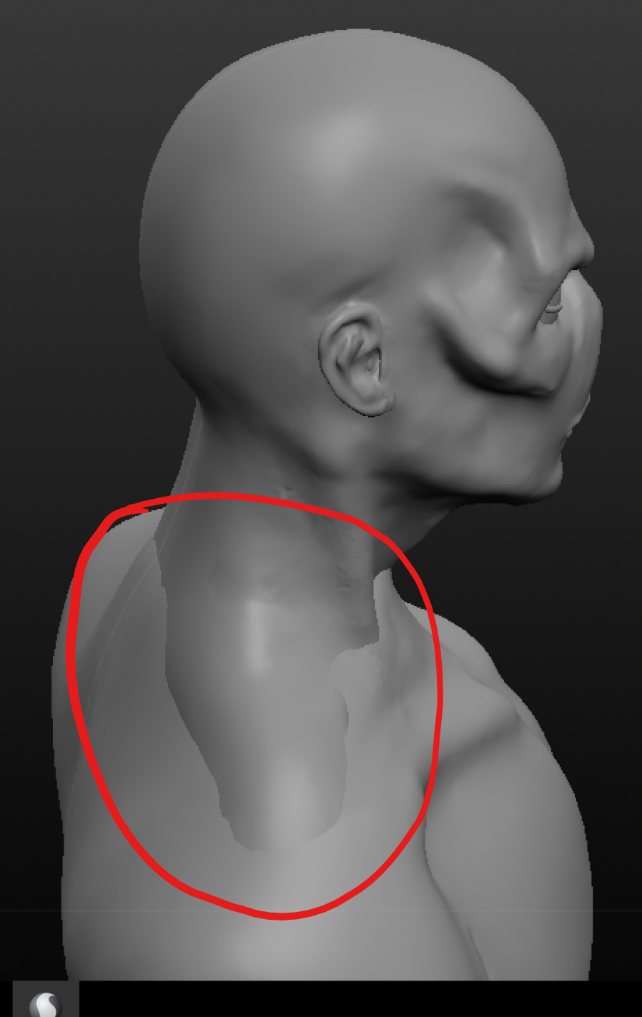 model1.jpg