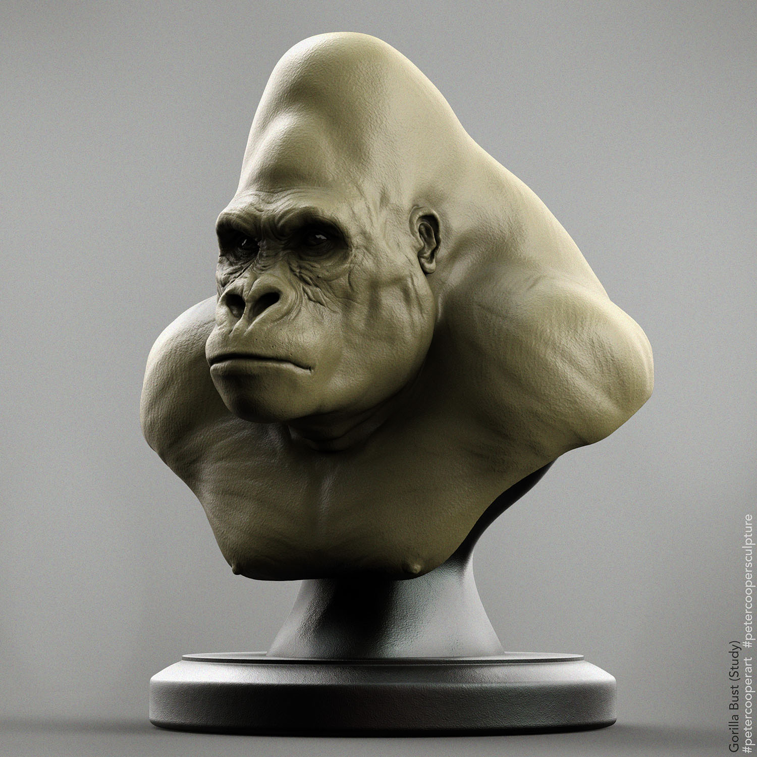 ZBC_01_Gorilla Test_BustShot_Green.jpg
