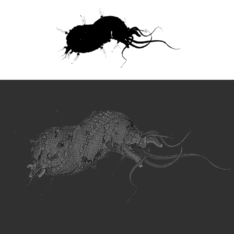 ecoli wip