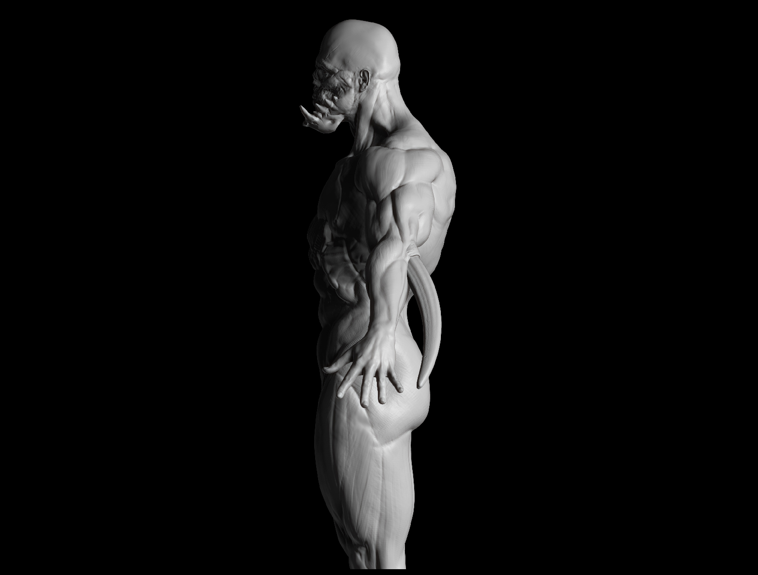 Ortho---Side.jpg