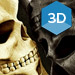 3DThumbnail.jpg