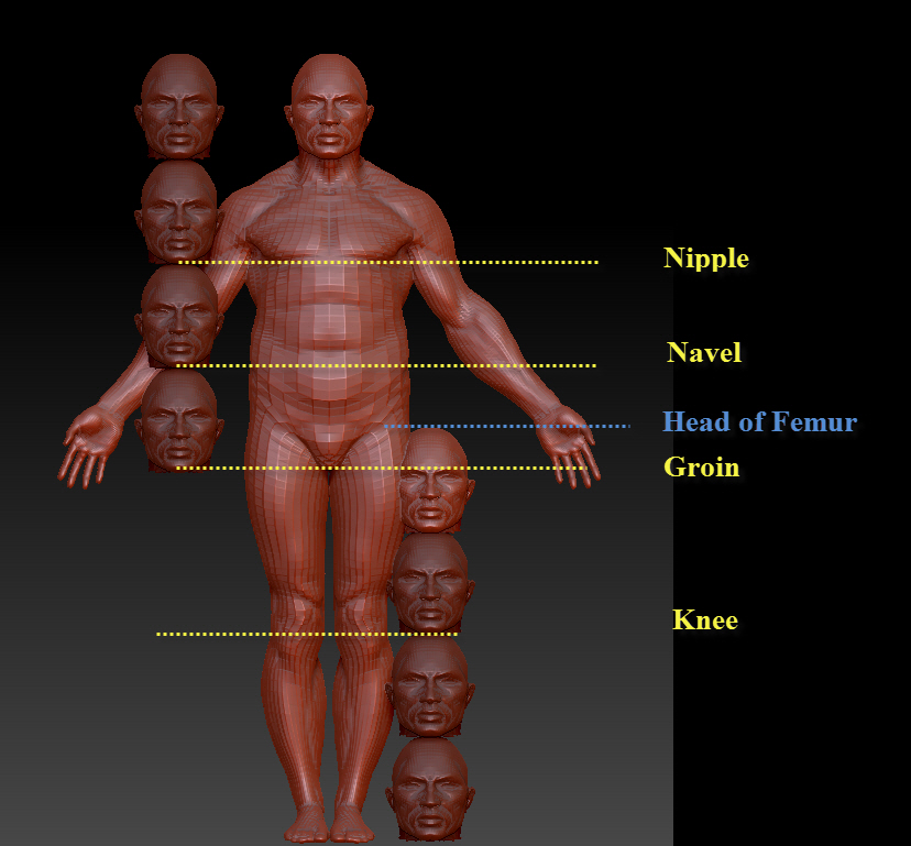 guide.jpg