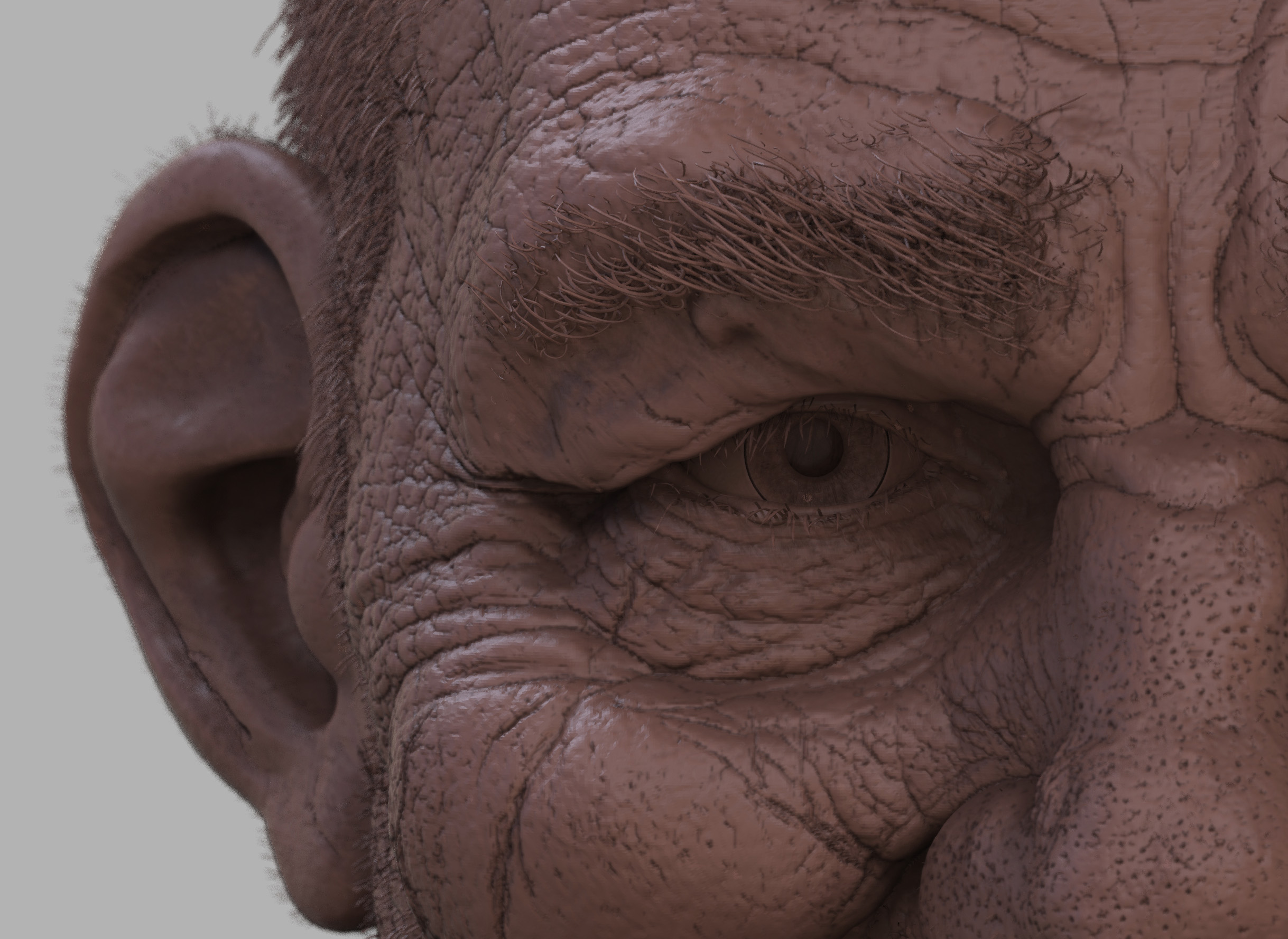 No One Special_Clay Closeup Low.jpg