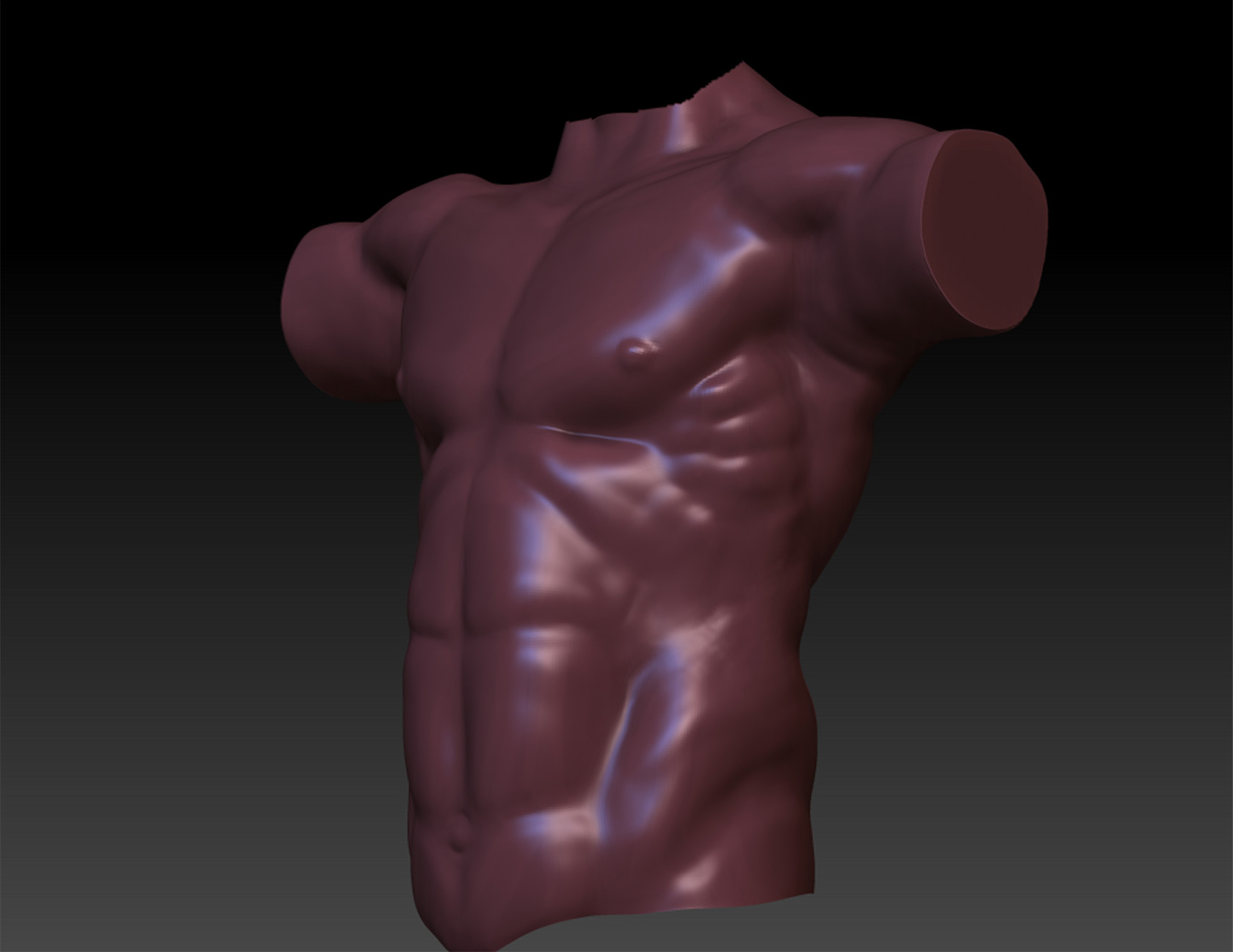 torso.jpg
