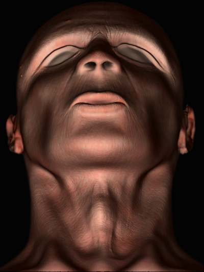 Faccia2 SoftZ.jpg