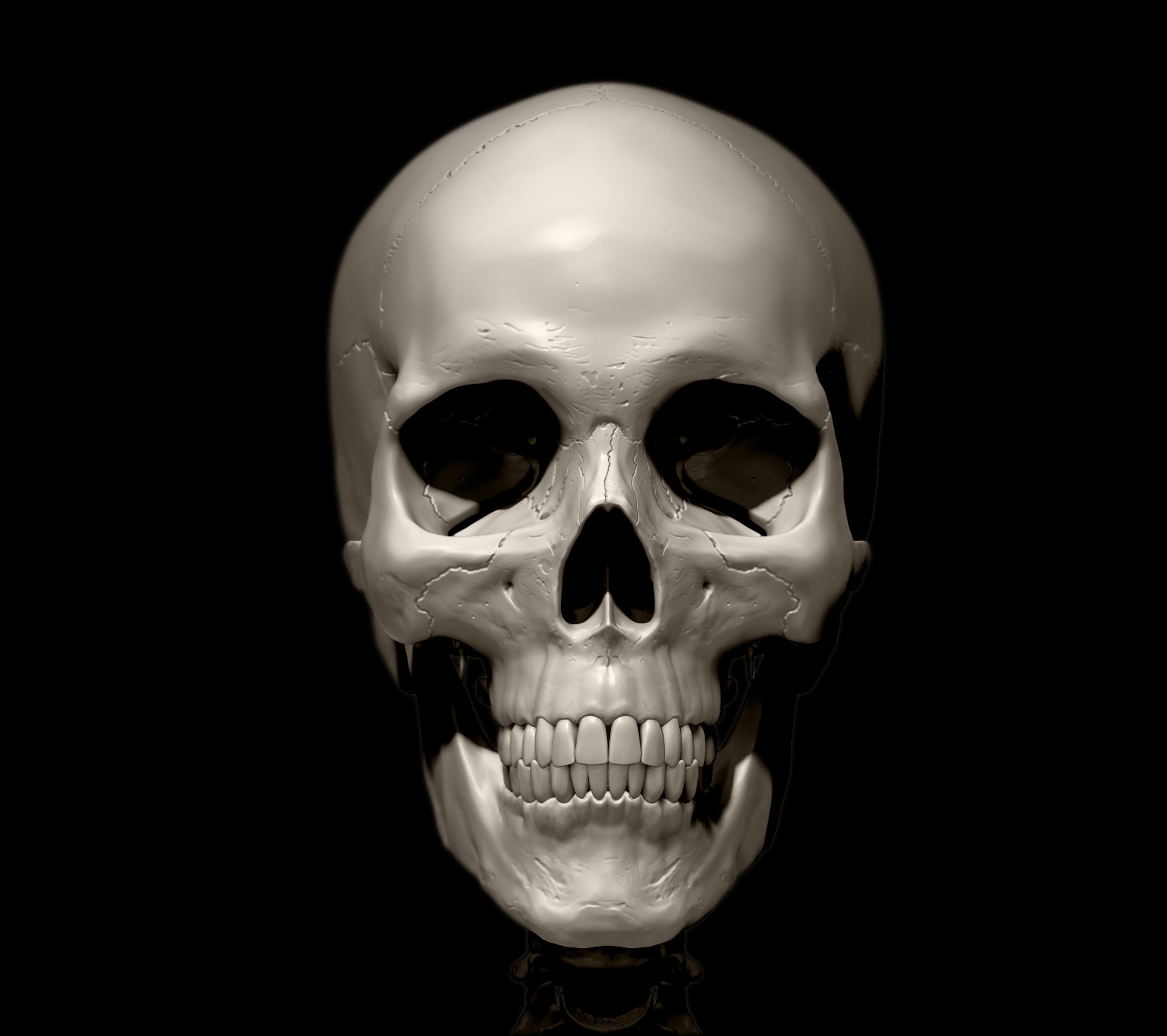 partial_view_03.jpg