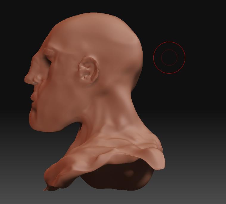 Bust9Side.jpg