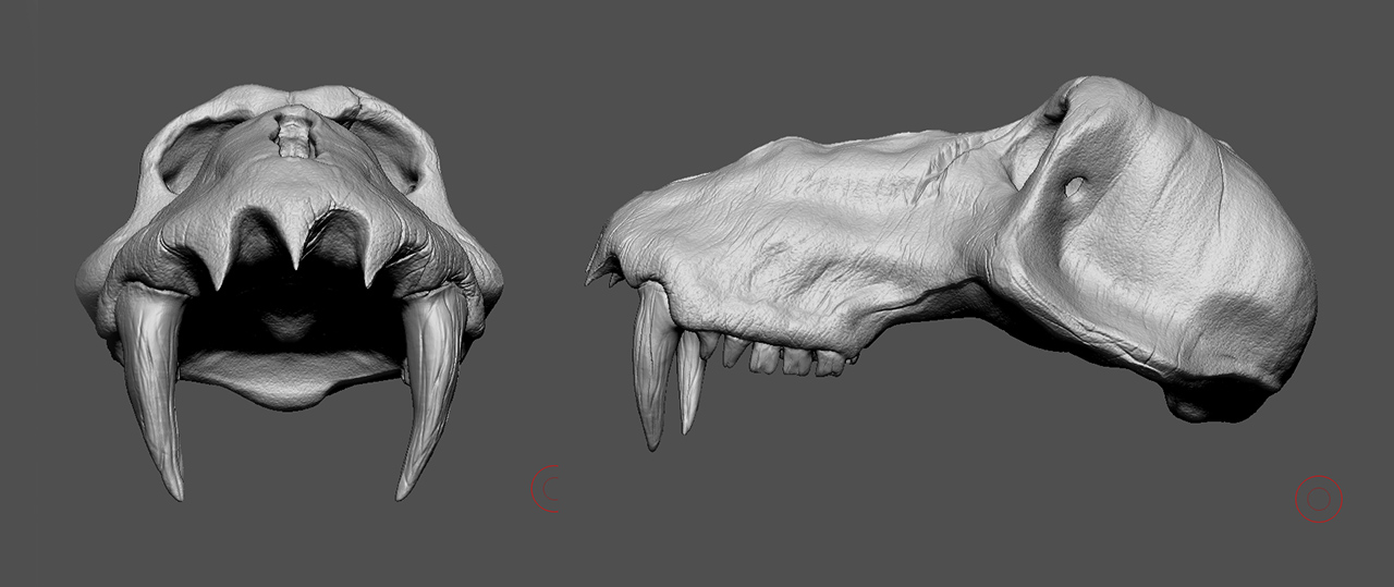 Zbrush_Otho.jpg
