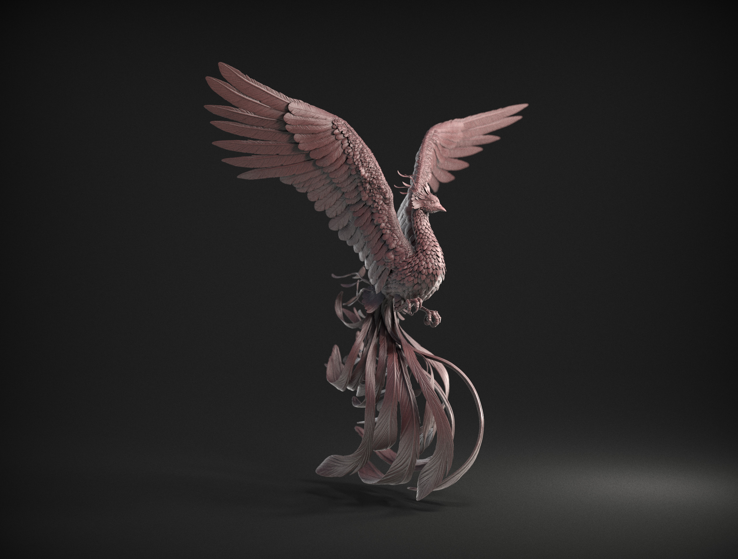 bird4