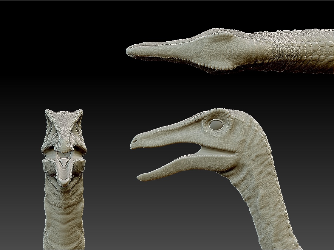All Head.jpg
