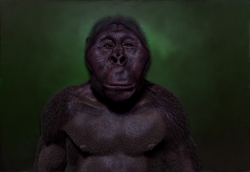Paranthropus Bosei painted.jpg