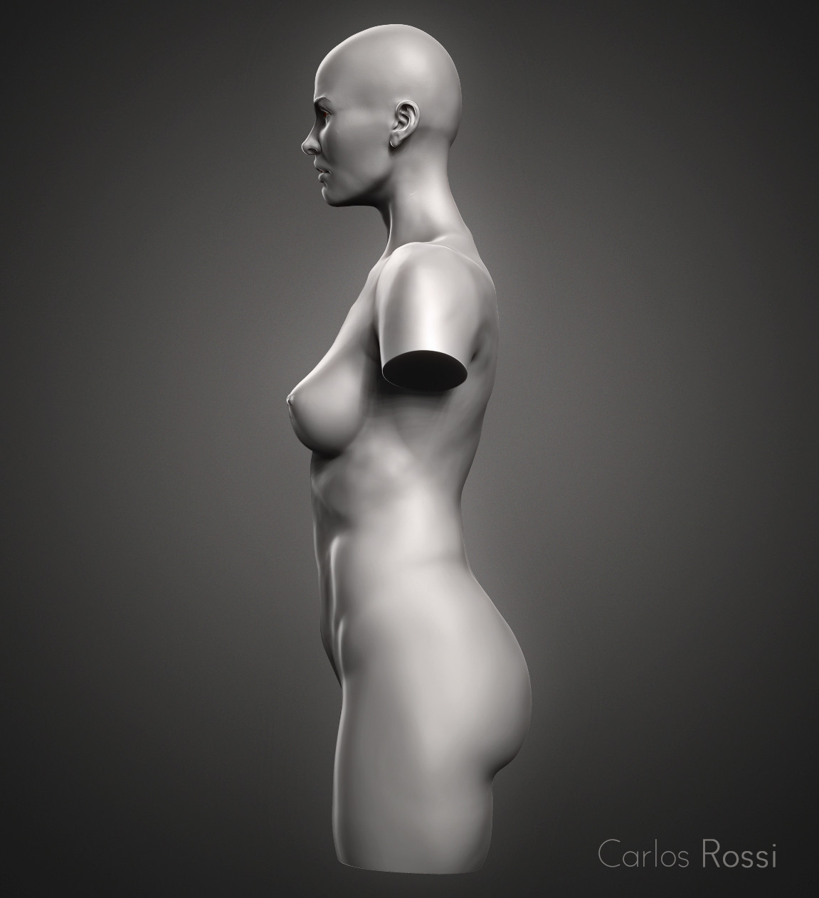 carlos-rossi-side-torso.jpg