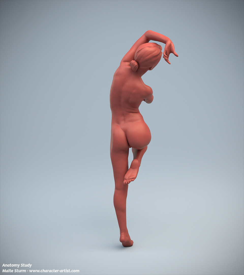 04_female_anatomy
