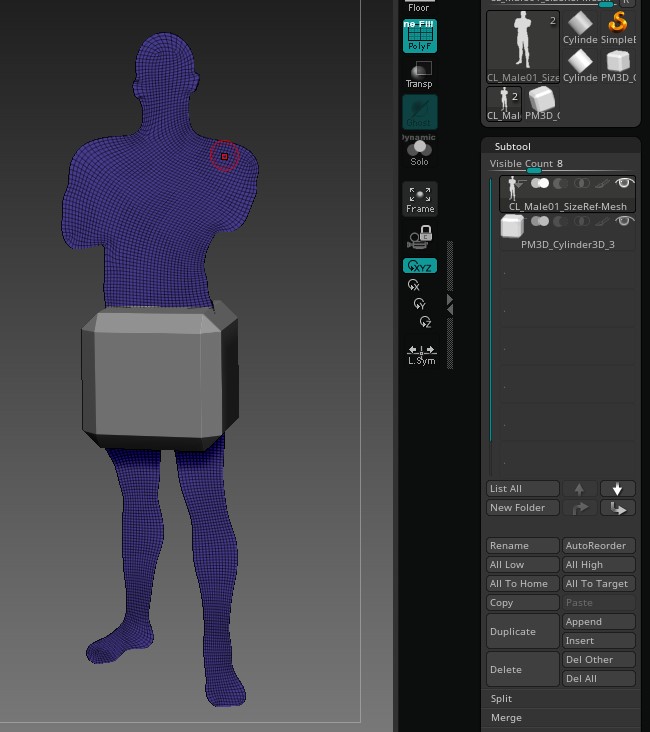polymesh wont delete from tool zbrush