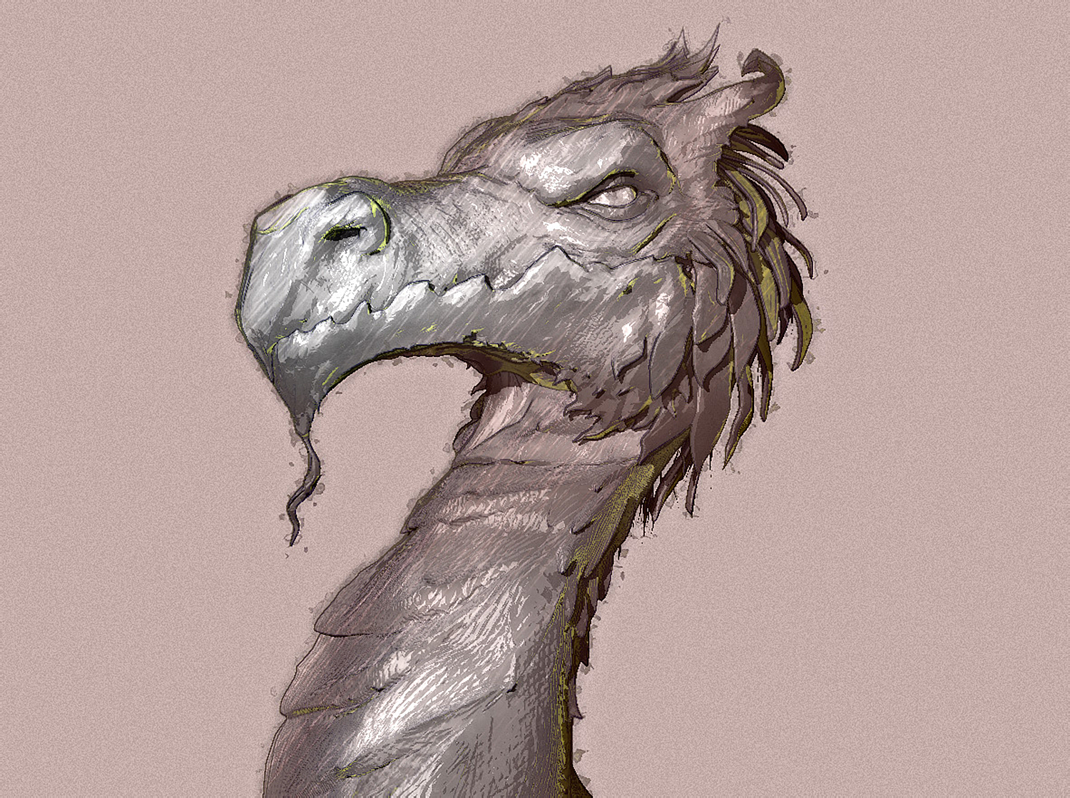 Dragon-NPR.jpg