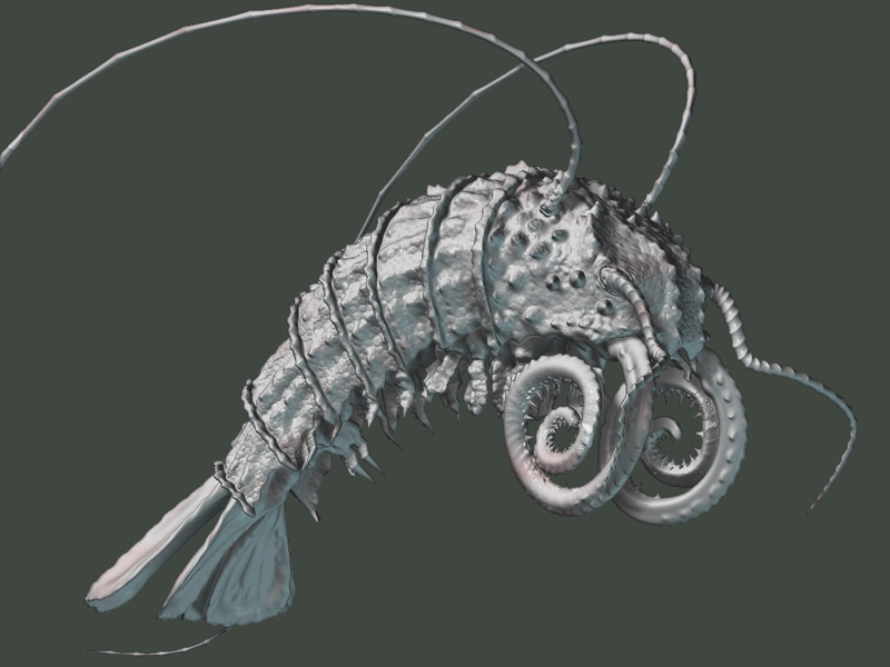shrump-03.jpg