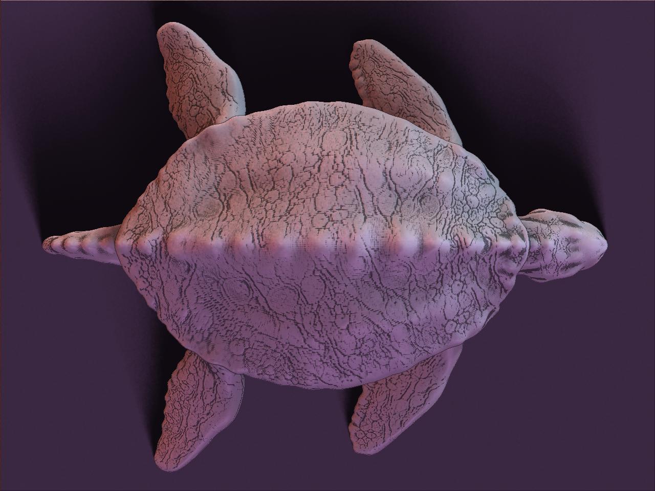 sea turtle render 2.JPG