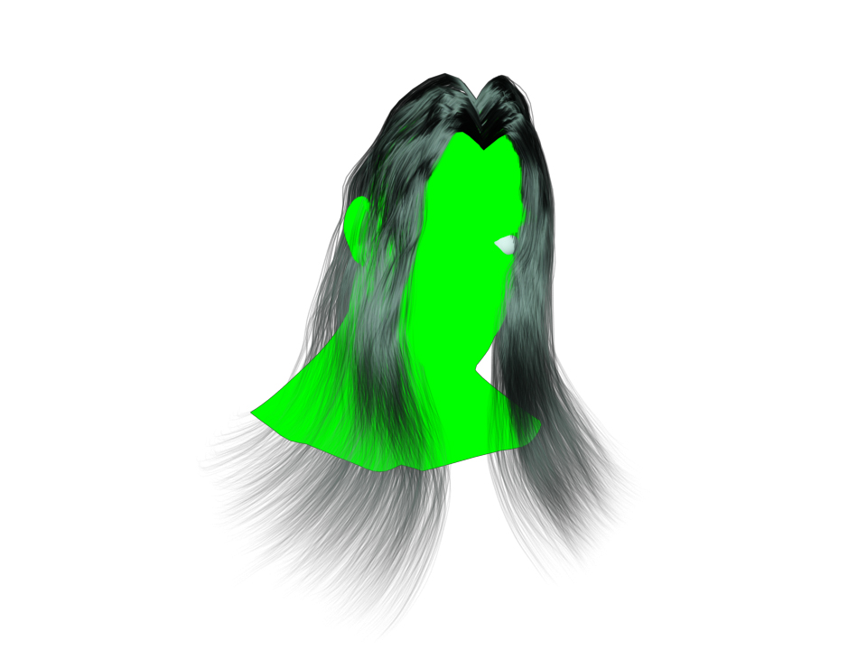 Hairtest.jpg
