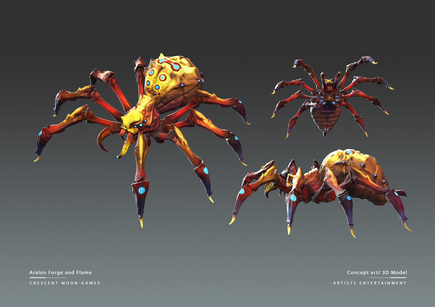 Spider_02.jpg
