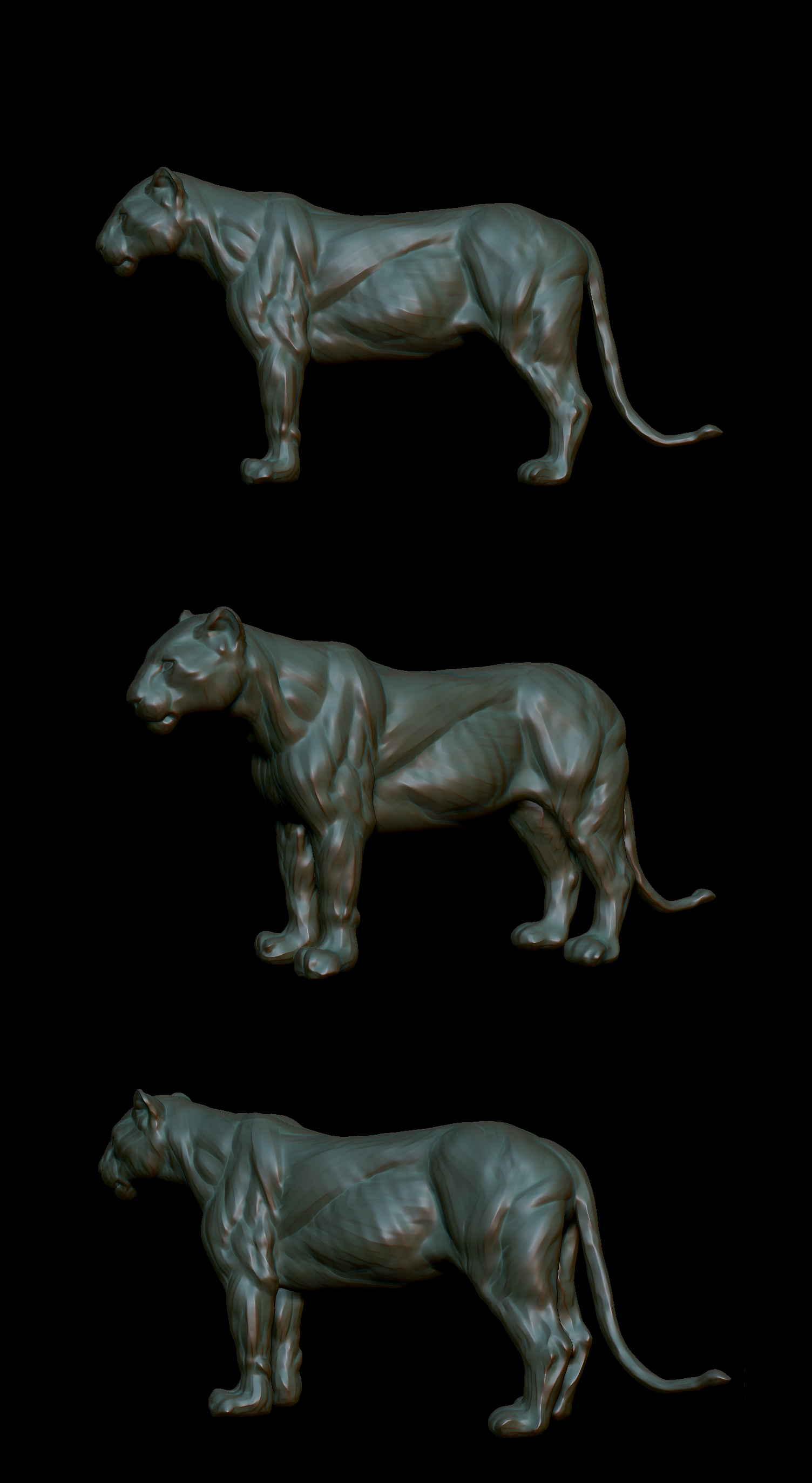 lion_zb_02.jpg
