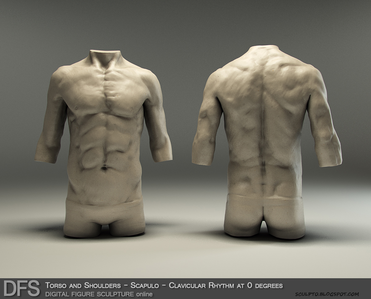 DFS ScapuloClavicularRhythm0_sm.jpg
