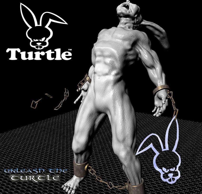 Turtle_test2.jpg