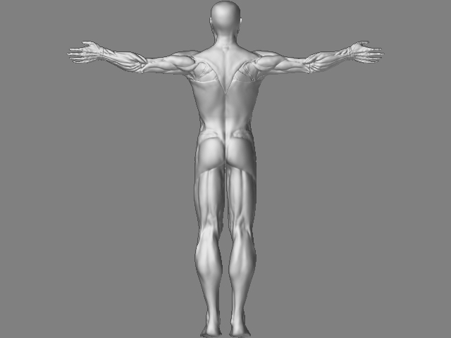 back.jpg