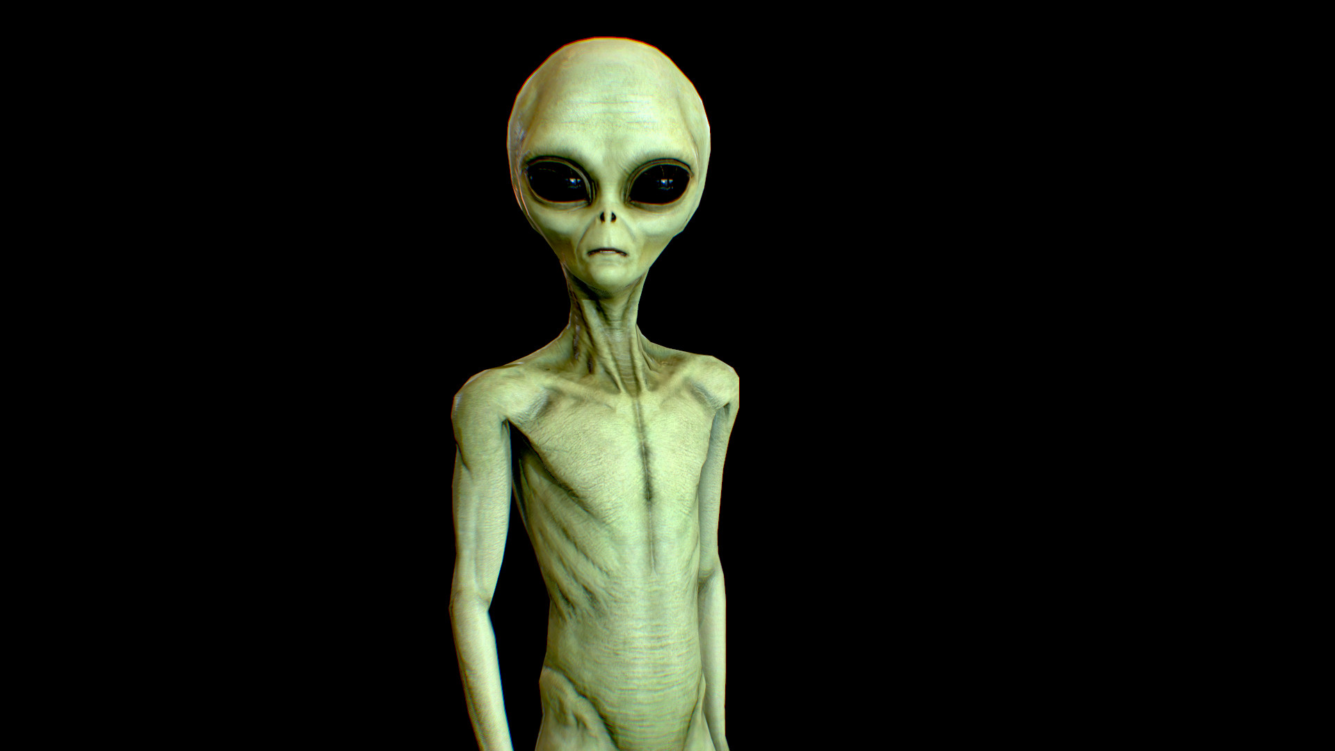oleg-egorov-screenshot002 (1).jpg