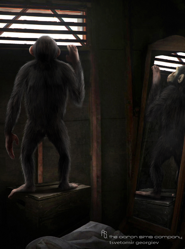 chimp-(5).jpg