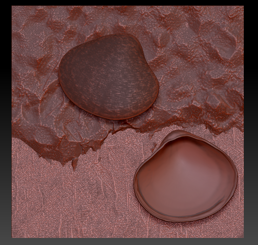 ss_shell