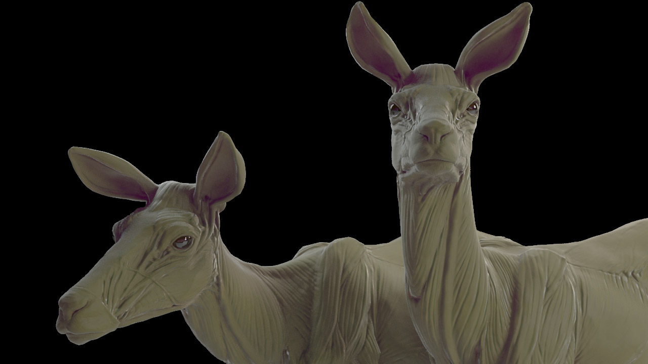 deerClay_002.jpg