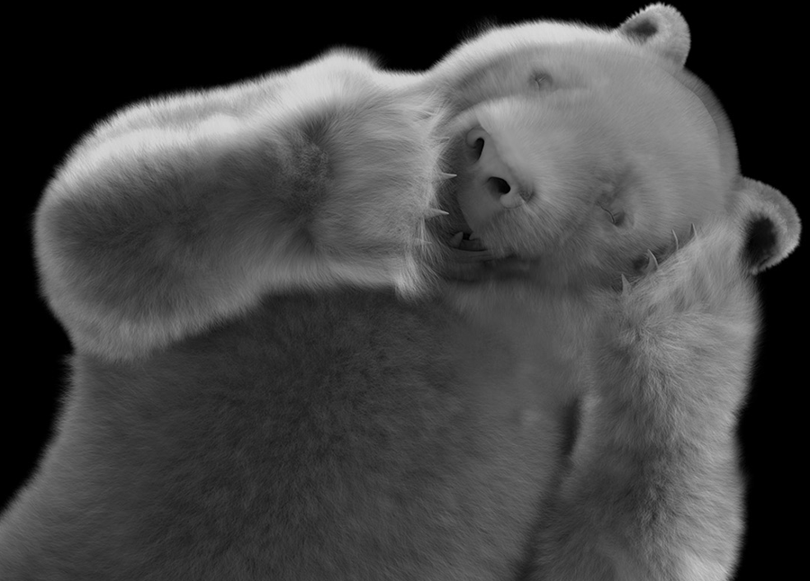 2014_Panda_03.png