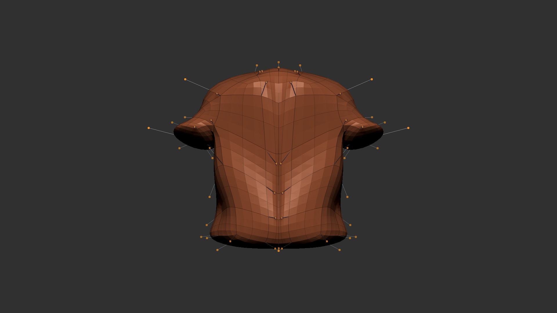 shawn-amey-anatomy-torso-back-ortho.jpg