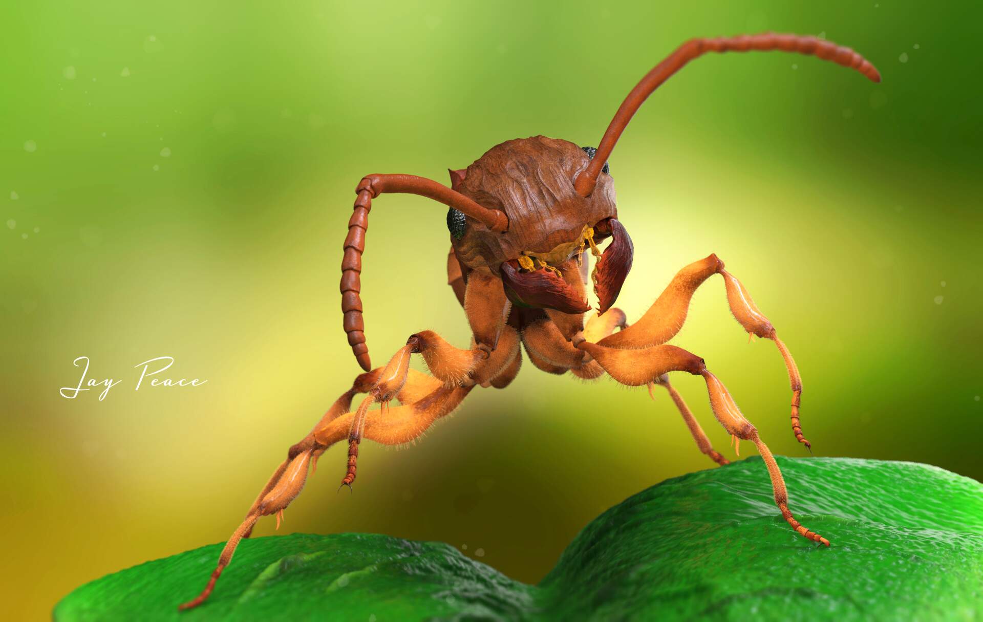 4. Ant